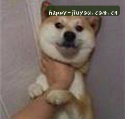 赵翔